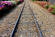 12024045-Railway-rail-in-a-small-railway-station-decorated-with-flowers-two-side--Stock-Photo