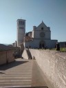 assisi 13