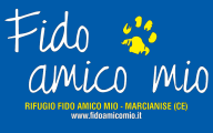 fido amico mio